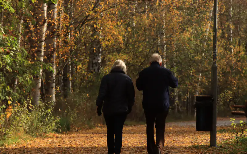 An older couple seen from behind walking a leaf-covered park path among autumn trees